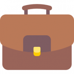 briefcase